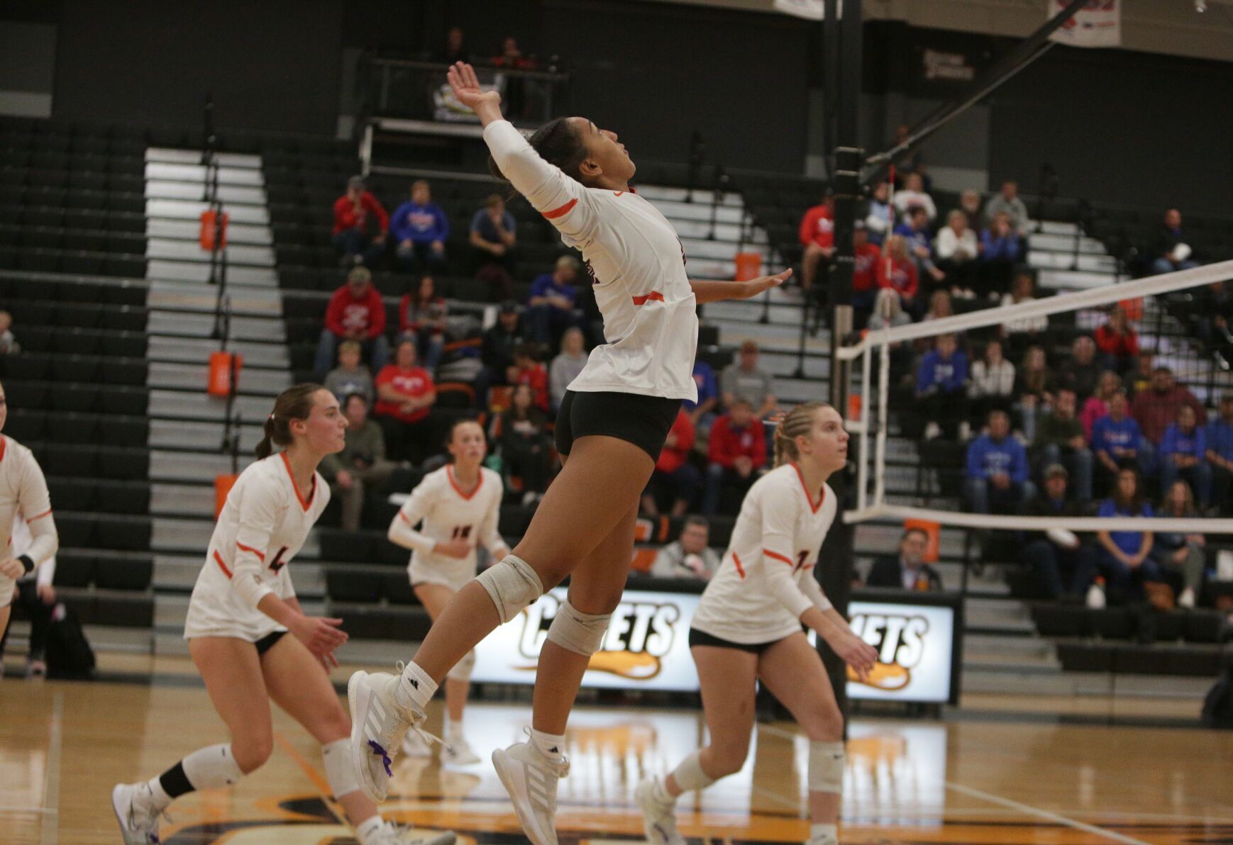 Charles City Comets volleyball vs Decorah Class 4A Region 6 semifinals - Rimrod